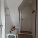 Skovboferie Bb Daire