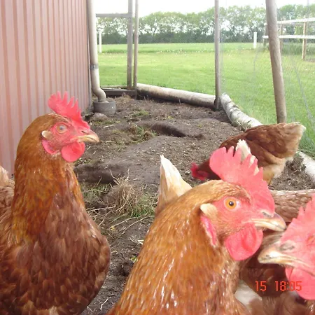 Skovboferie Bb Appartamento *