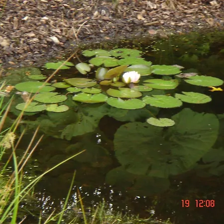 Appartamento Skovboferie Bb