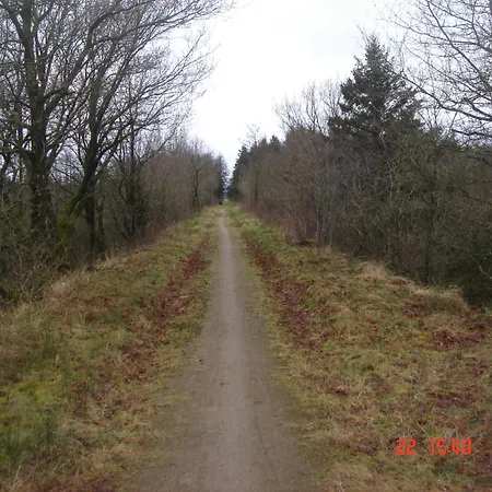 Skovboferie Bb Blåhøj Stationsby