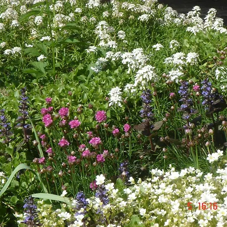 Skovboferie Bb * Blåhøj Stationsby