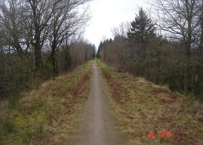 Skovboferie Blåhøj Stationsby